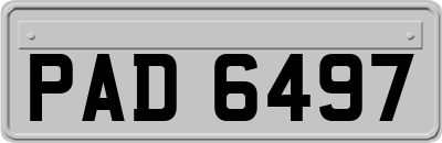 PAD6497