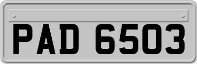 PAD6503