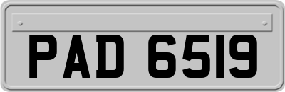 PAD6519