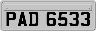 PAD6533