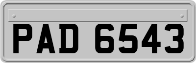 PAD6543