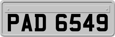 PAD6549