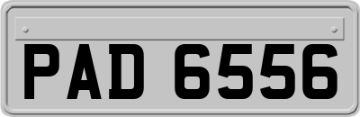 PAD6556