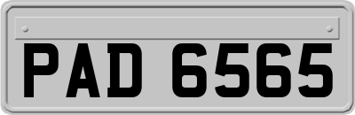 PAD6565