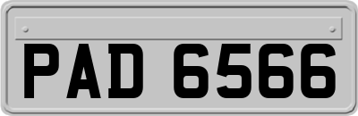 PAD6566