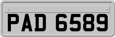 PAD6589