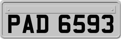 PAD6593