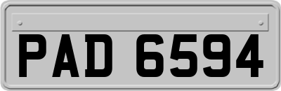 PAD6594