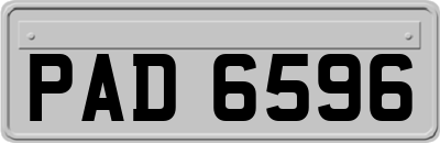 PAD6596