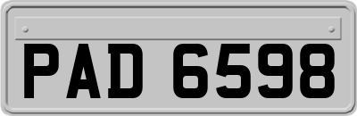 PAD6598