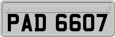 PAD6607