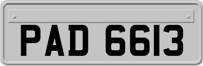 PAD6613