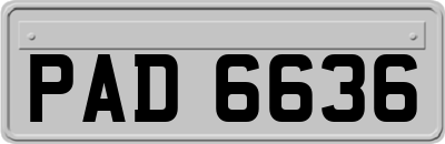 PAD6636