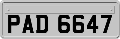 PAD6647