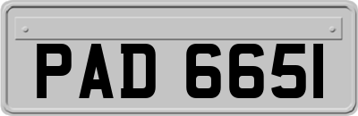 PAD6651