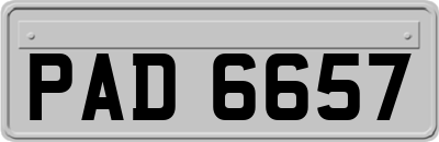 PAD6657
