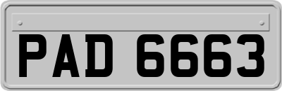 PAD6663