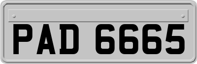 PAD6665