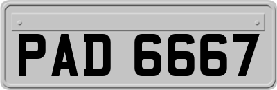 PAD6667