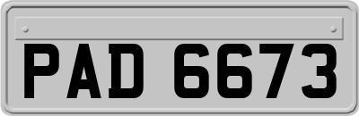 PAD6673