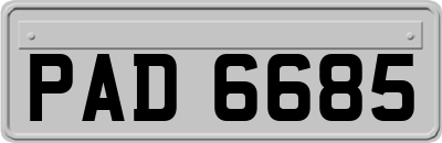 PAD6685