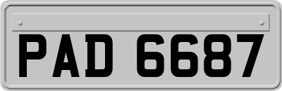 PAD6687