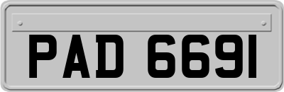 PAD6691