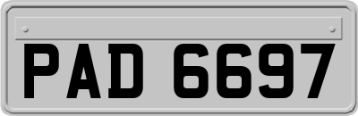 PAD6697
