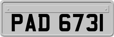 PAD6731