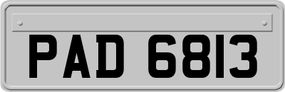 PAD6813