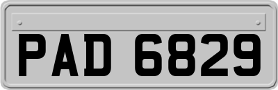 PAD6829