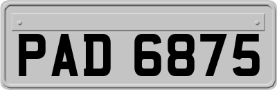 PAD6875
