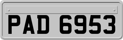 PAD6953