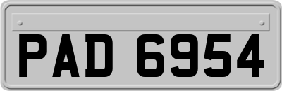 PAD6954