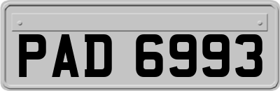 PAD6993