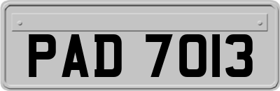 PAD7013