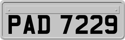 PAD7229