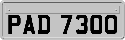 PAD7300