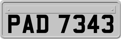 PAD7343