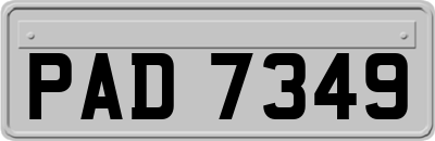 PAD7349