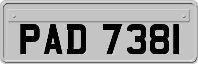 PAD7381