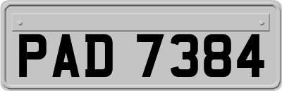 PAD7384