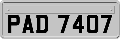 PAD7407