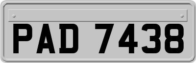 PAD7438