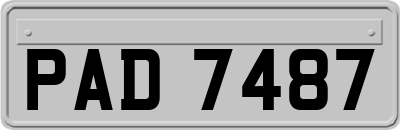 PAD7487