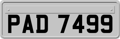 PAD7499