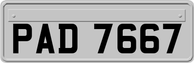 PAD7667