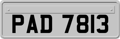 PAD7813