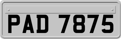 PAD7875
