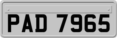 PAD7965